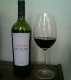 Elegí un Yauquén Malbec-Cabernet Sauvignon 2009 de la Bodega Ruca Malén, ubicada en Lujan de Cuyo, Mendoza y propiedad de Jean Pierre Thibaud, ex presidente de Bodegas Chandon Argentina.
