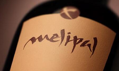 Melipal Malbec 2007