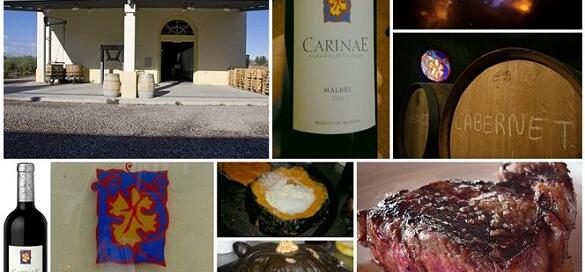  CarinaE Malbec 2010