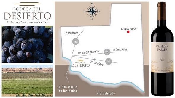 Los Cardos Sauvignon Blanc 2010 y Desierto Pampa Malbec 2006 Los Cardos Sauvignon Blanc 2010 y Desierto Pampa Malbec 2006