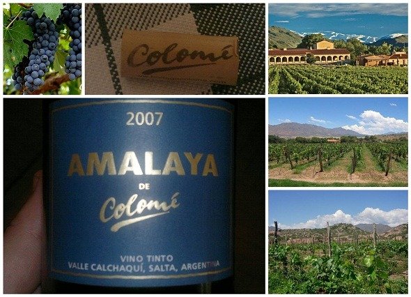 Amalaya 2007 - La misma etiqueta, 363 días después (o 728)