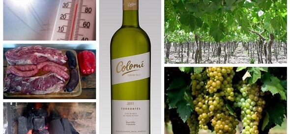 Colomé Torrontés 2011