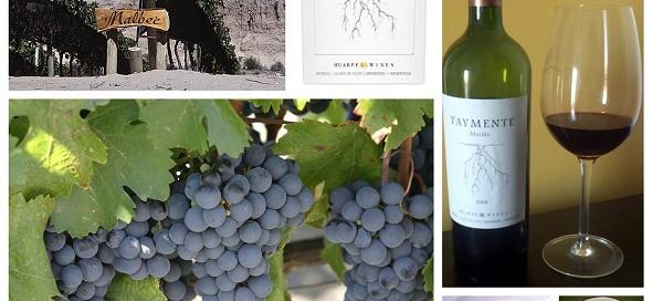 Taymente Malbec 2009
