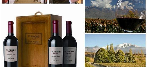 Cata Vertical de Trapiche Single Vineyard WOW