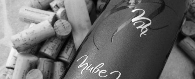 Nube Negra Malbec 2010