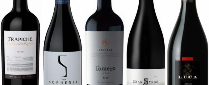 Mis 5 Vinos Syrah