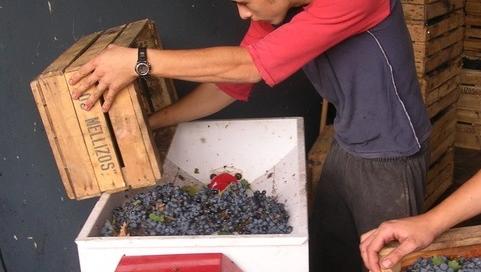 Taller de elaboración de Vino Casero 2015