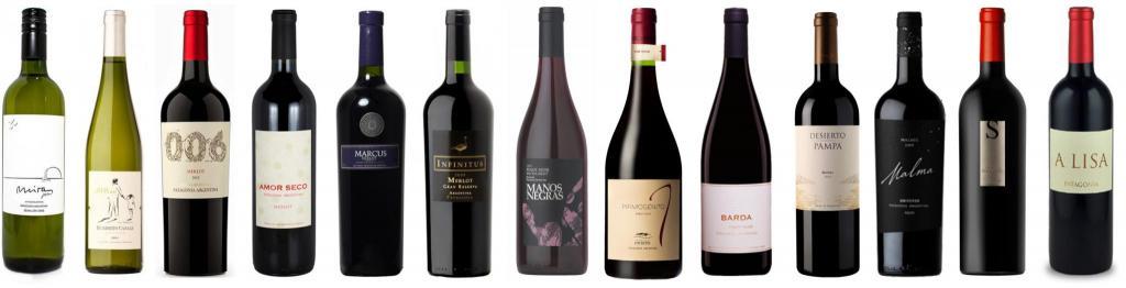 Vinos Patagónicos - Mostrar la Patagonia con una botella