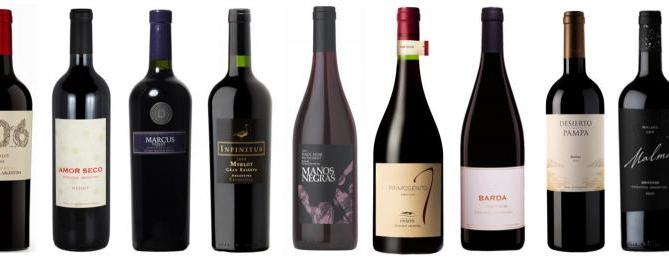 Mis vinos Patagónicos Preferidos