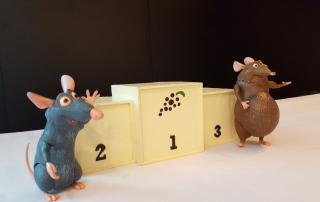 Desafío Federal 2017