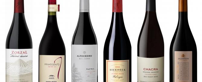 Mis 6 Pinot Noir Argentinos Favoritos