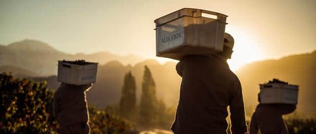 Alta Vista renueva su imagen