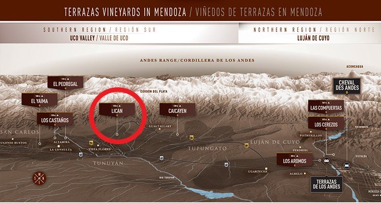 Viñedos Terrazas de los Andes