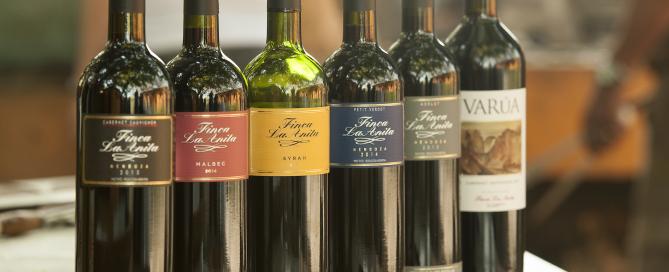 Finca La Anita se integra al grupo Origin Wine