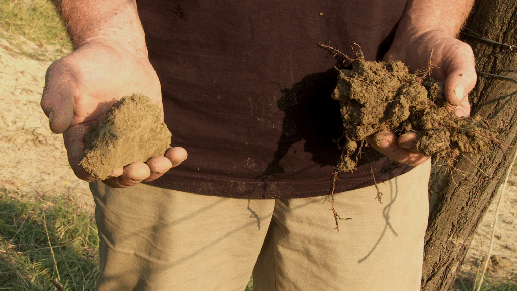 Stefano Bellotti in Resistenza Naturale photo credit Jonathan Nossiter