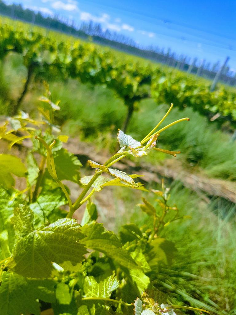 Bodega del Fin del Mundo
