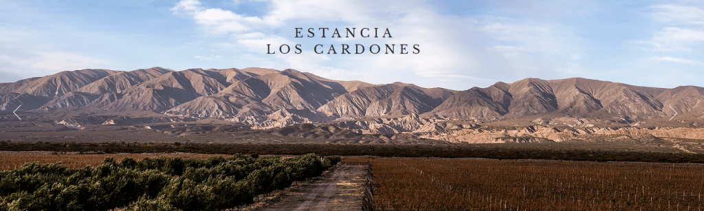 Estancia los Cardones