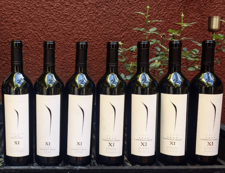 Pulenta Gran Cabernet Franc