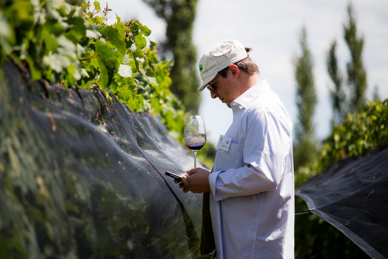 Wines of Argentina recibió a Masters of Wine