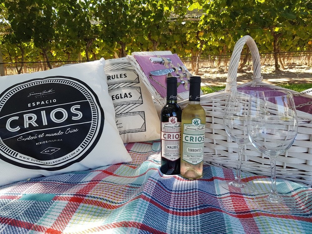 #EnoturismoLPV – Picnic en Espacio Críos