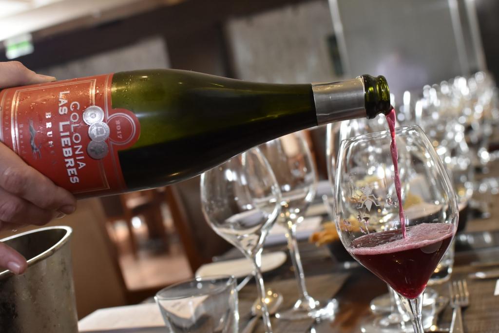 Colonia Las Liebres Bonarda Brusca