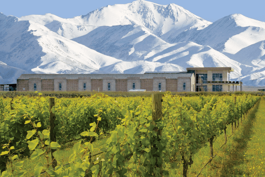 Domaine Bousquet Reserva Cabernet Sauvignon 2017 2 Domaine Bousquet Reserva Cabernet Sauvignon 2017