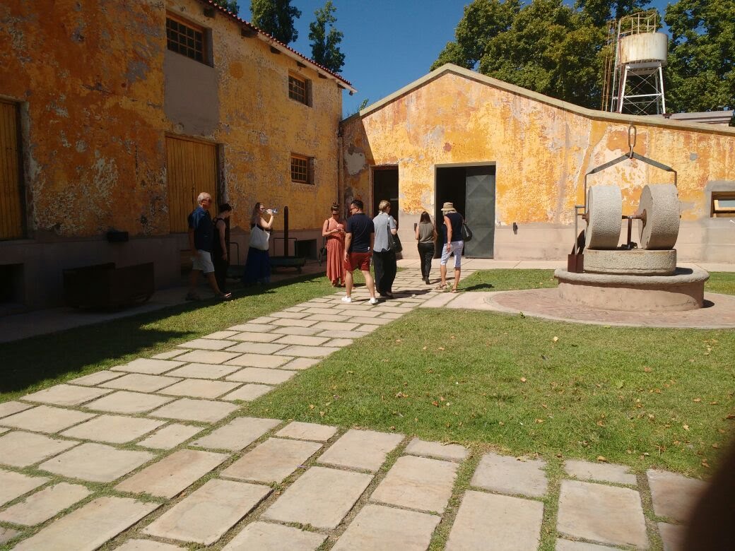 Olivícola Laur y Acetaia Millán. Mendoza es la tierra de sol, del buen vino y también del aceite de oliva y aceto balsámico