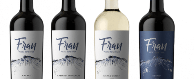 Fran de Nieto Senetiner vuela junto a Latam