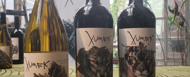 Xumek y sus vinos de Zonda