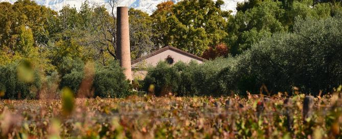 Lagarde es la bodega más antigua de América en ser Empresa B