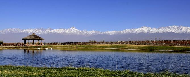 Domaine Bousquet - #Veranodomainebousquet: Para Todos Los Sentidos