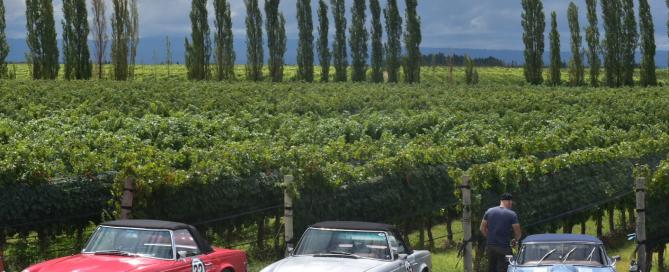 El Rally de las Bodegas 2019 pasó por Andeluna
