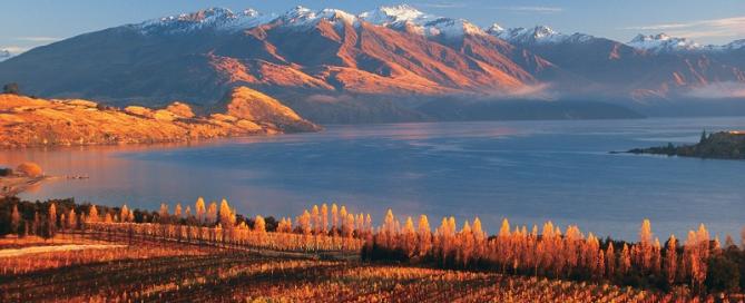 Nueva Zelanda celebra 200 años como productor de vino