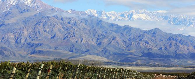 Zuccardi Finca Piedra Infinita 2016 es un Malbec proveniente de la misma finca en la que se erige la bodega Zuccardi Valle de Uco en Paraje Altamira. El vino fue el único en alcanzar la máxima calificación en el informe sobre Argentina, presentado ayer por Luis Gutiérrez para Robert Parker (The Wine Advocate)