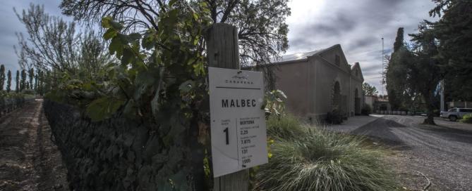 Casarena Single Vineyard Jamilla Malbec