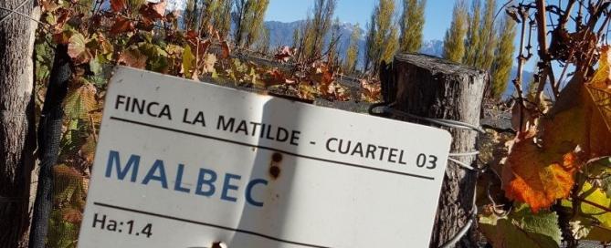 Malbec 4x4 - 8 Malbec Recomendados para celebrar el Día del Malbec (3)