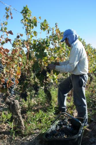 Viña Las Perdices anticipó cuales serán sus Novedades 2020