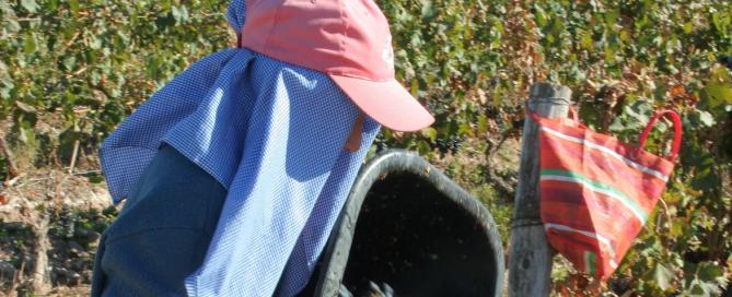 Viña Las Perdices anticipó cuales serán sus Novedades 2020