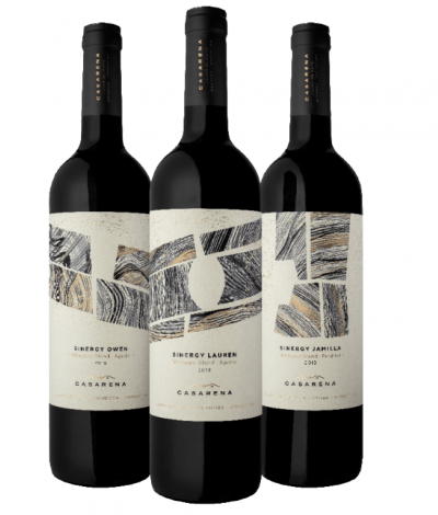 Casarena Bodega y Viñedos presentó vía Zoom sus Sinergy Vineyard Blend (1)