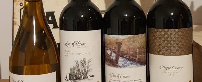 Finca Bandini un nuevo proyecto vitivinícola en Las Compuertas