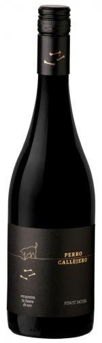 Mosquita Muerta Wines presentó la nueva cosecha de Perro Callejero Pinot Noir 2019