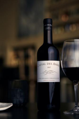 Cheval des Andes 2017