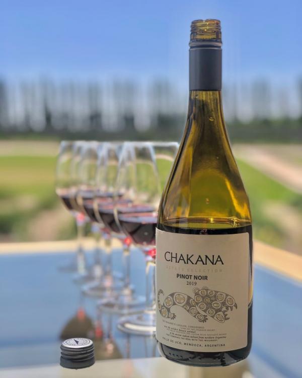 Chakana Estate Selection Pinot Noir 2019, el nuevo miembro de la familia Chakana 2 Chakana Estate Selection Pinot Noir