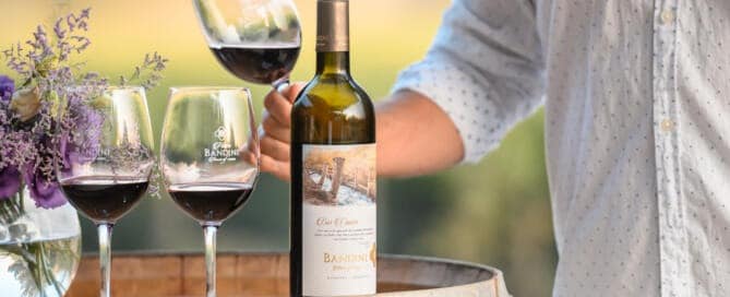 Finca Bandini anuncia su reapertura al turismo