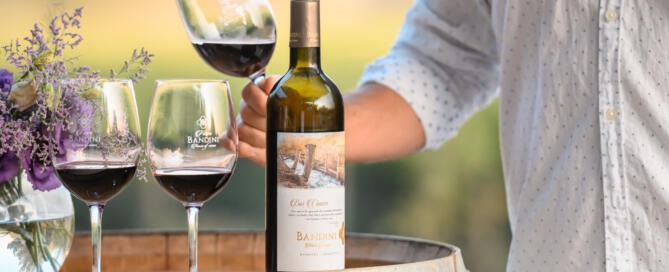 Semana santa en Finca Bandini (1)