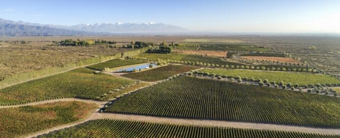 Terrazas de los Andes anuncia la certificación sustentable