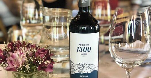 Andeluna 1300 Malbec de Montaña