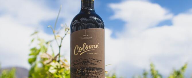 El Arenal Single Vineyard Malbec 2019 de Bodega Colomé
