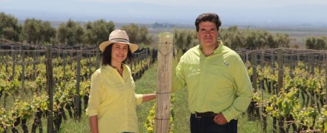 Vanguarvid - Gabriela Celeste y Marcelo Canatella