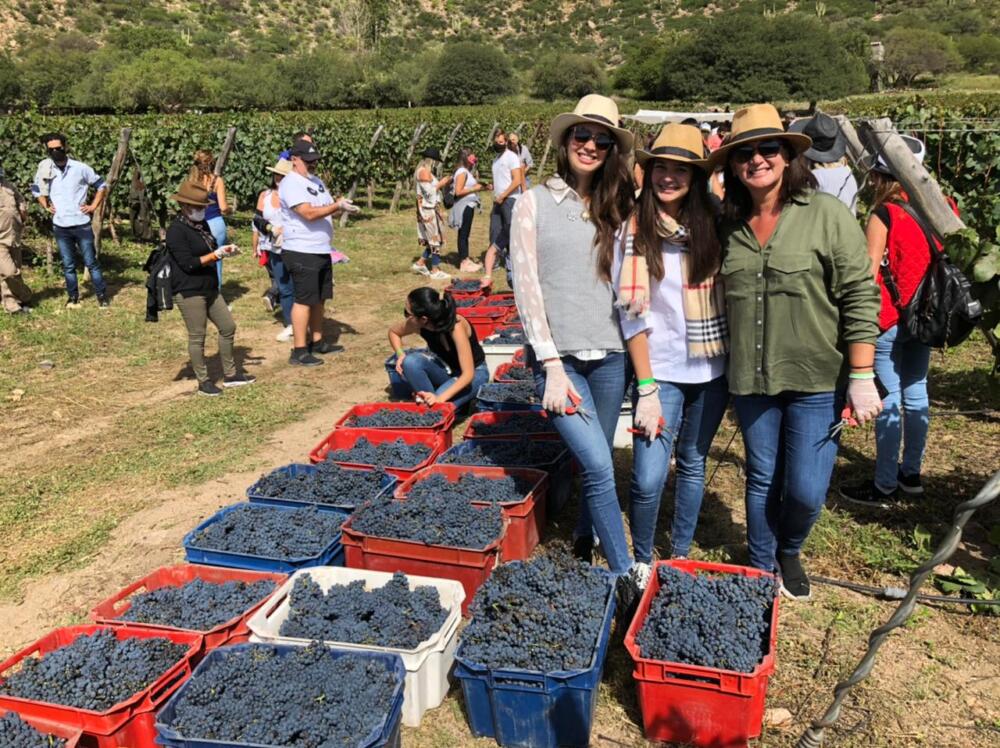 La Vendimia 2021 en Finca Las Nubes (3)